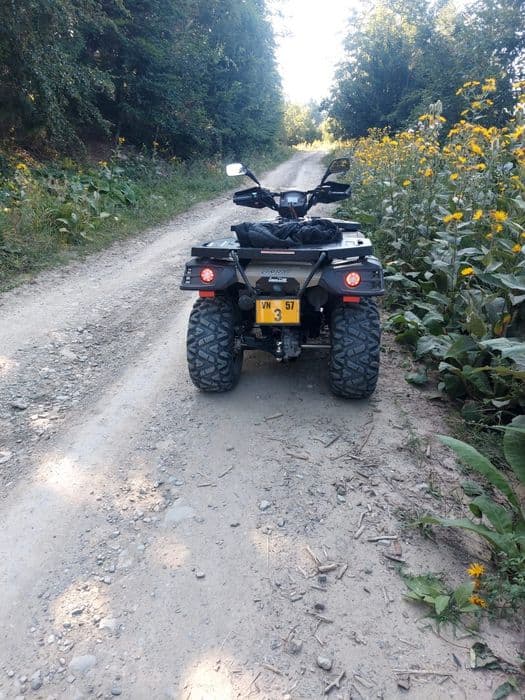 Vând linhai de 300 cc