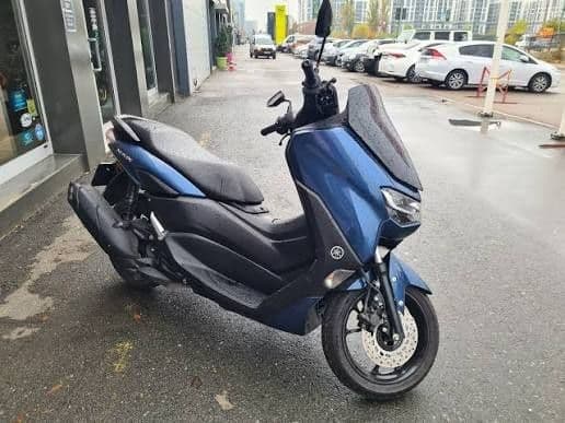 Motoscuter Profesional