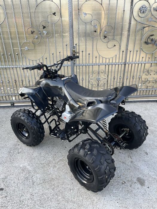 Atv 125 Renegade Pro Germany