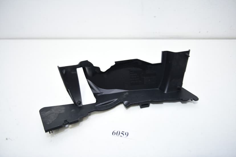 Protecție de evacuare  4663 8403878 BMW F900R 46638403878