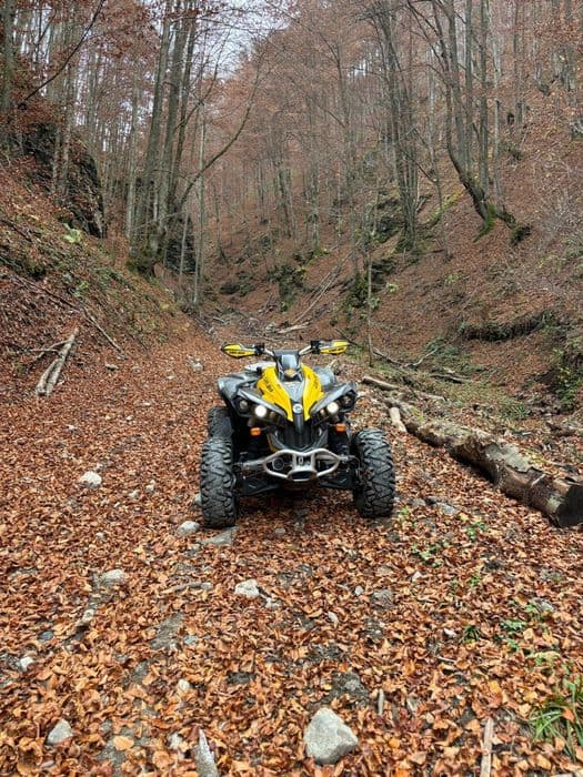 Vand can am renegade 800