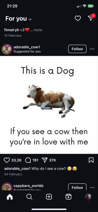 Vand atv linhai worker 300cc