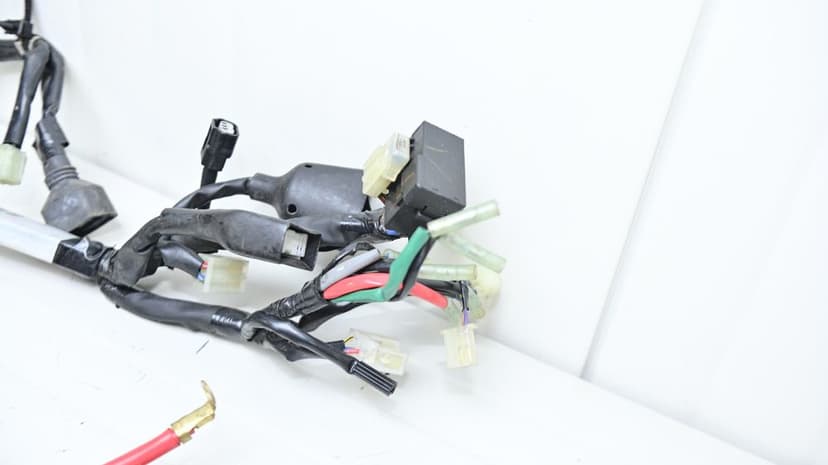 Yamaha FZ1 2006 - 2015 Instalatie Electrica Motor