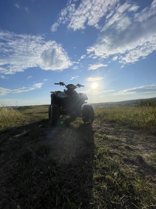 Vand atv e ton vector cu acte