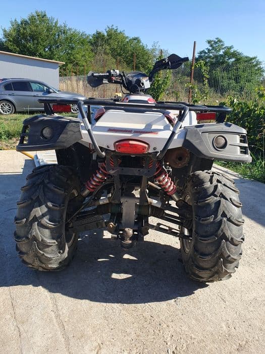 Atv linhai dragon fly