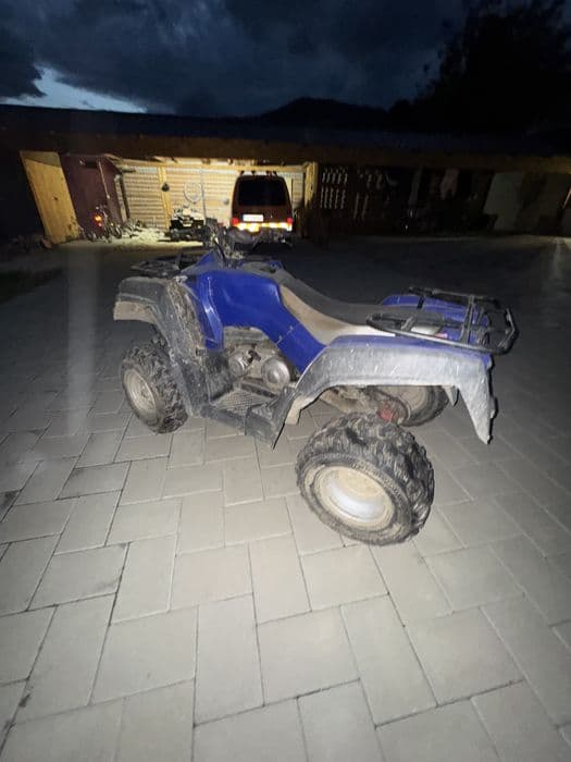 Vand Linhai anniversary 300cc si Adly 300cc