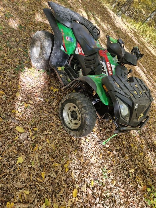 Vand/ Schimb Linhai anniversary 300 cc