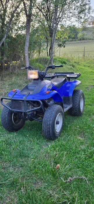 Atv e ton 2x4 cutie automată