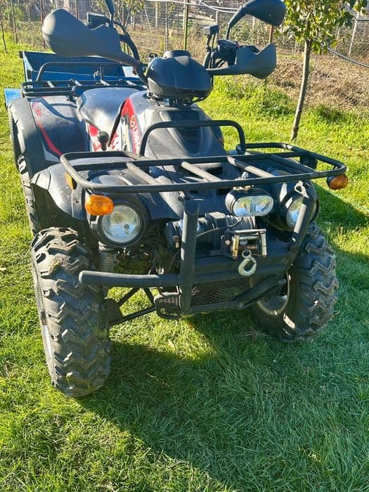 ATV Linhai 300, an 2007