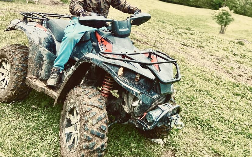 De vanzare linhan 450