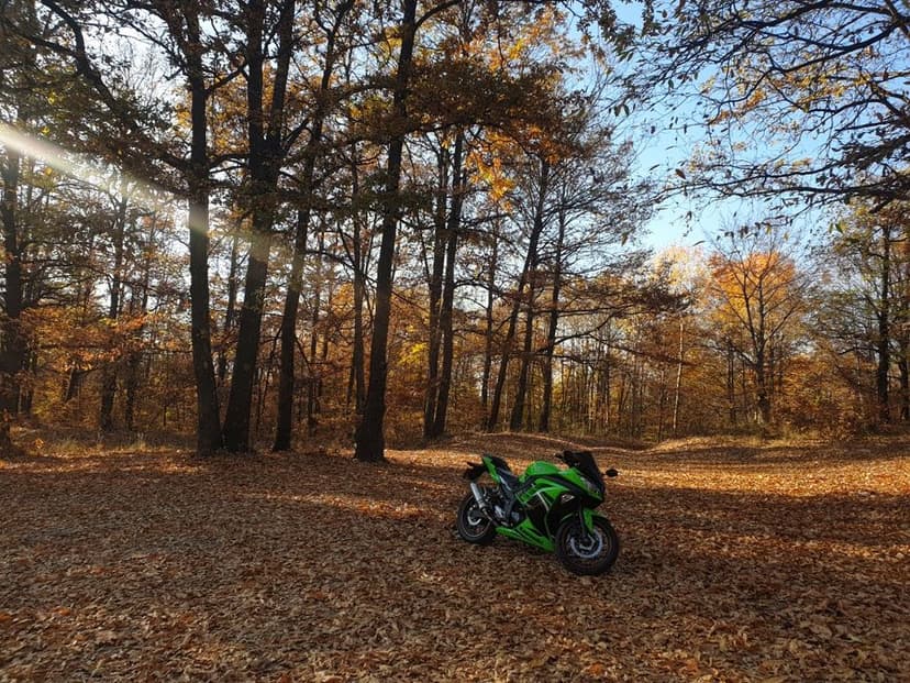 Kawasaki Ninja 300 ABS Special Edition