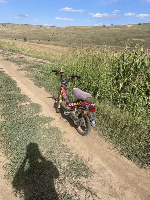 Moped pedalier piaggio grillo