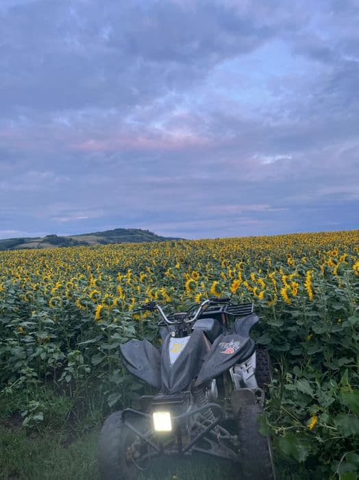 Se vinde sau fac schimb atv 300