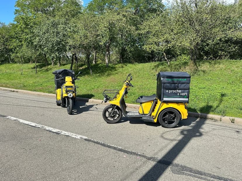 De vanzare Scuter Electric Profesional