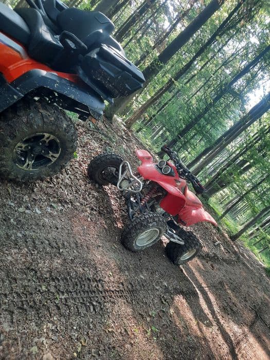 De Vânzare Honda TRX 400Ex