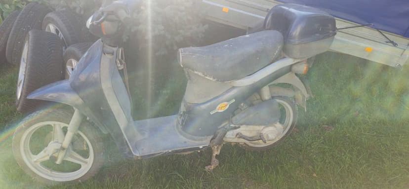 Piaggio free 2 tip 49cm.