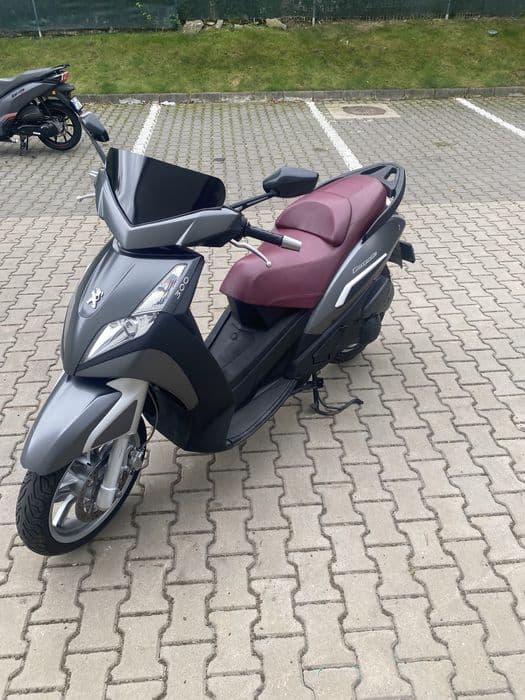 Peugeot Geoplis din 2014 300cm