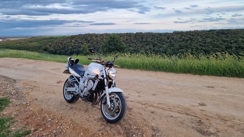 Yamaha FZ6N Fazer functionala