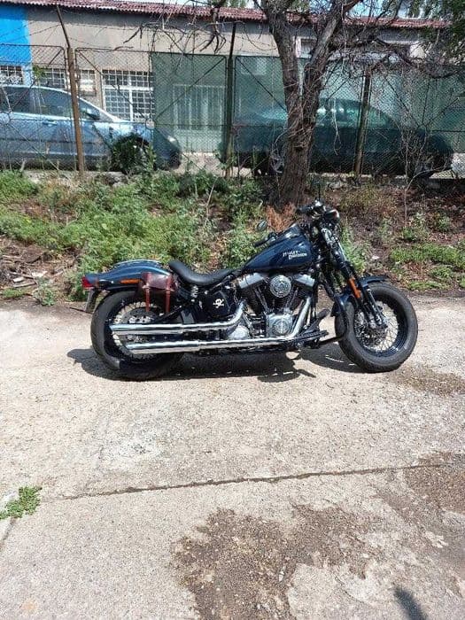 Harley Davidson Cross Bones