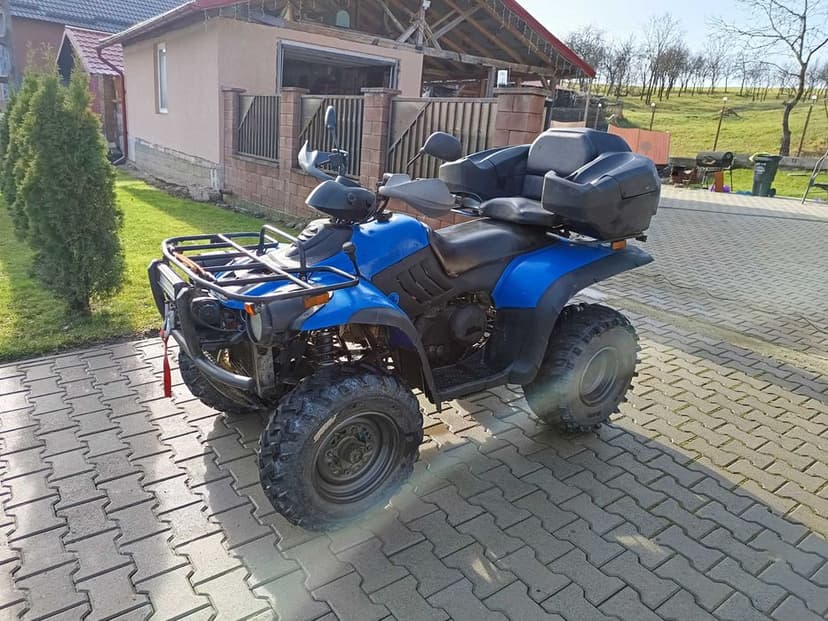 LINHAI worker 300 2x4/4x4