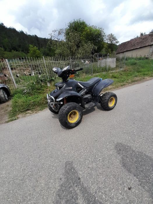 Ateveu adulții  copii