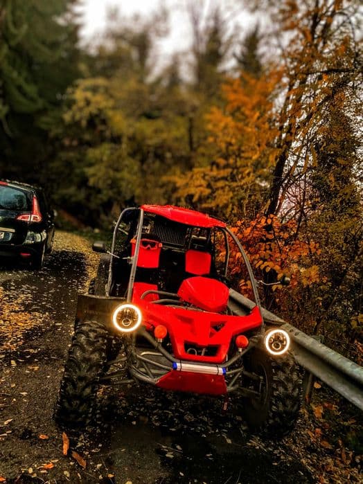 Vand Buggy unic in Romania