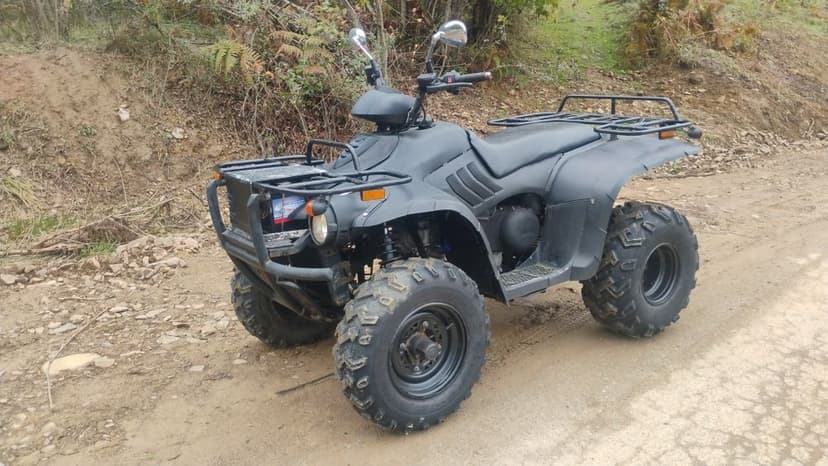 2 Linhai 300cc 2x4 recent aduse in țară