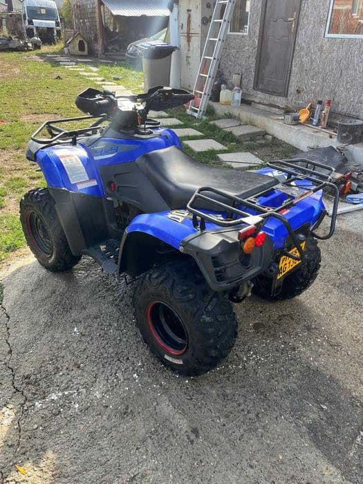 Linhai dragonfly 300 4x4