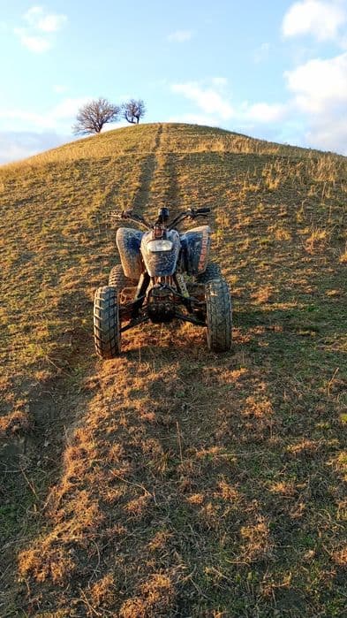 ATV quad barossa mustang