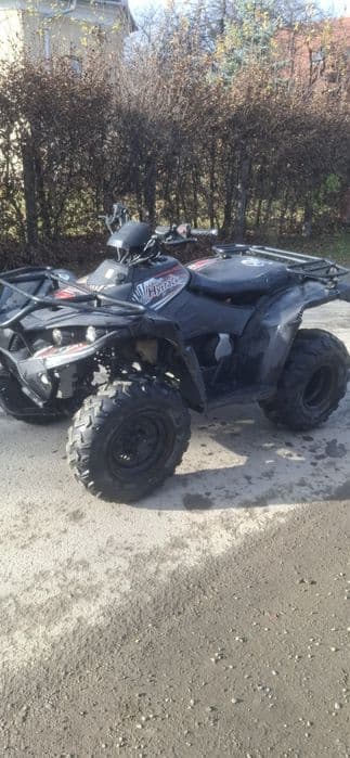 Vind Atv LINHAI DRAGONGLY.  300cm an 2019