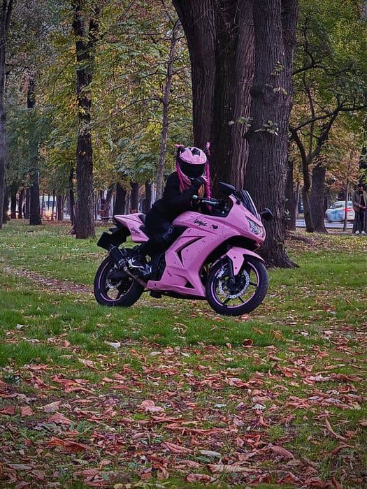 Kawasaki ninja 250R 2009 A2