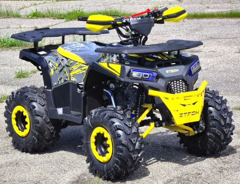 ATV 125 BEMI ZTech R8 Automatic 120Kg Teddy