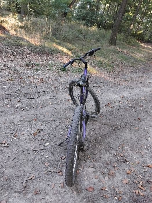 Vand sau schimb cu scuter       500 lei