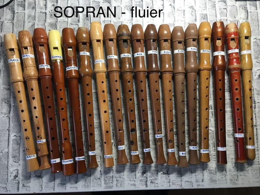 Fluiere - blockflote-recorder / sopranino, sopran, alto, tenor, bass