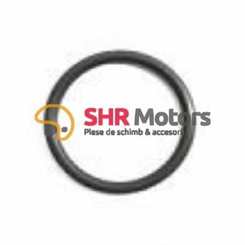 Protectie control / Cheie reglare power valve KTM / Husqvarna / GasGas