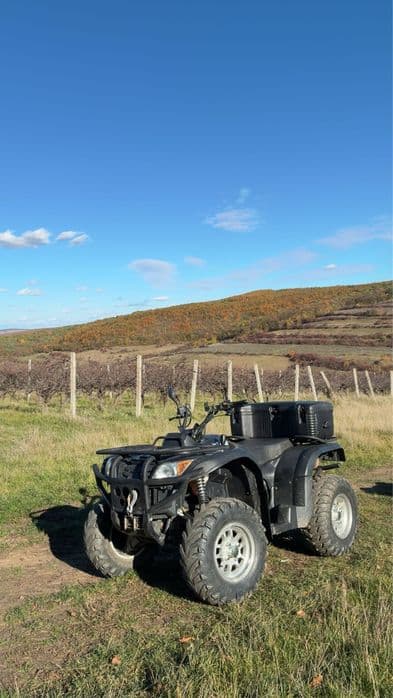 !! Atv Mastiff !! (CF MOTO)