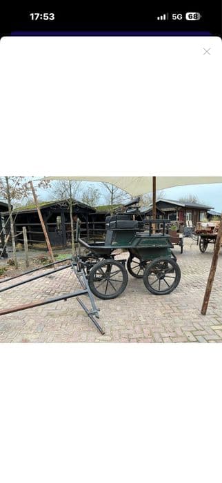 Vand o pereche de manji armasar Barok Pinto cu trasura hamuri remorca