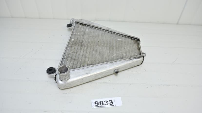 Ducati Panigale 899 1199 1299 Radiator Ulei