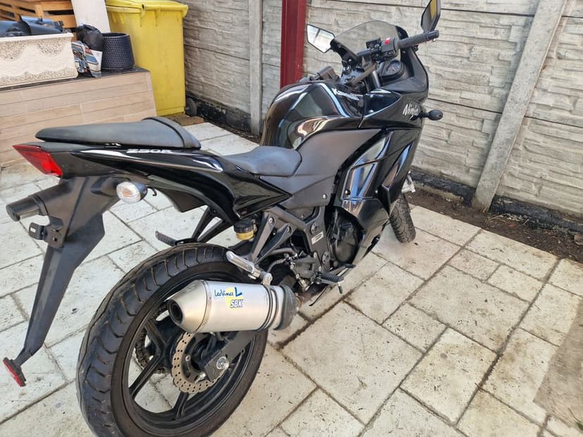 Kawasaki Ninja 250 R