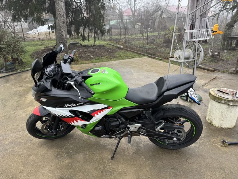 Kawasaki Ninja 650 2019 A2