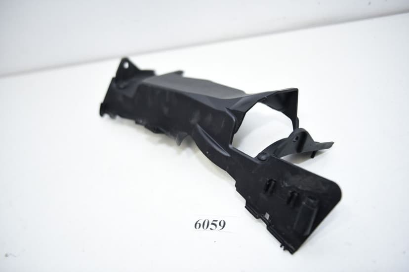 Protecție de evacuare  4663 8403878 BMW F900R 46638403878