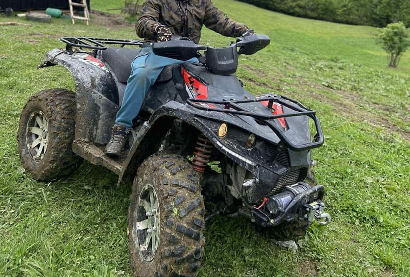 De vanzare linhan 450