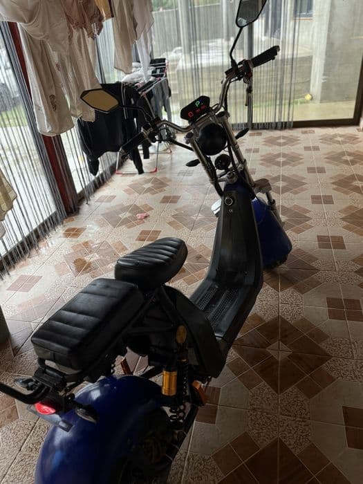 Scuter electric tip hearly