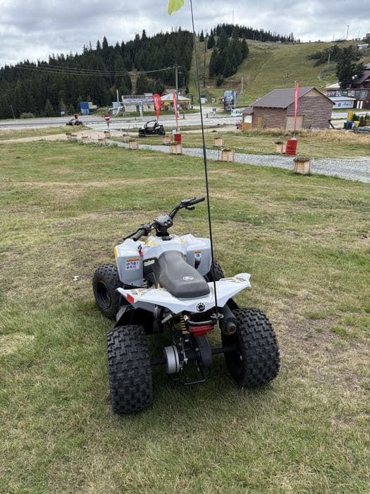 Atv copii Can Am Renegade 110