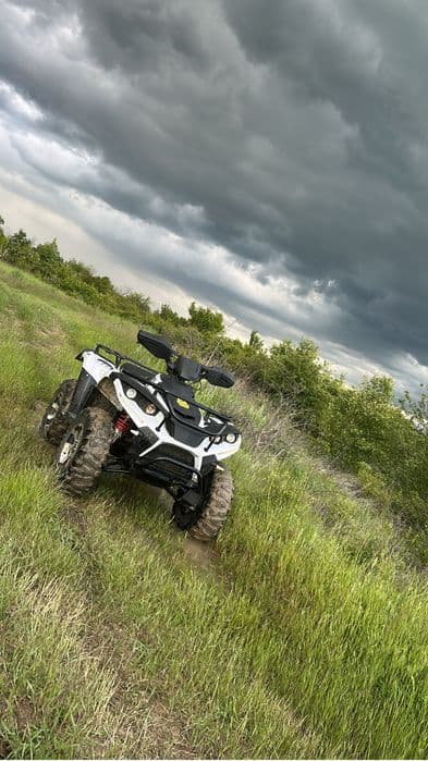 Atv linhai dragonfly