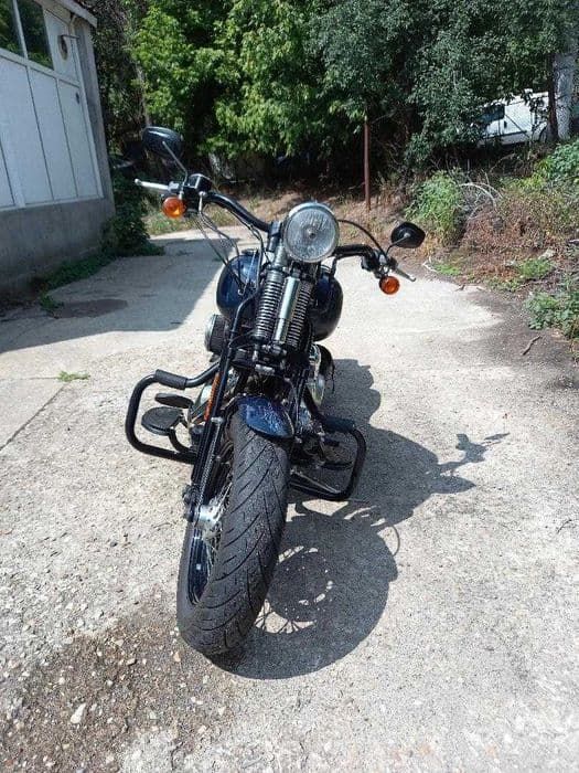 Harley Davidson Cross Bones