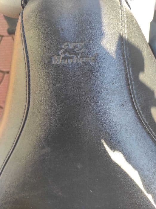 HARLEY DAVIDSON FLSTSB Softail Spinger CrossBones