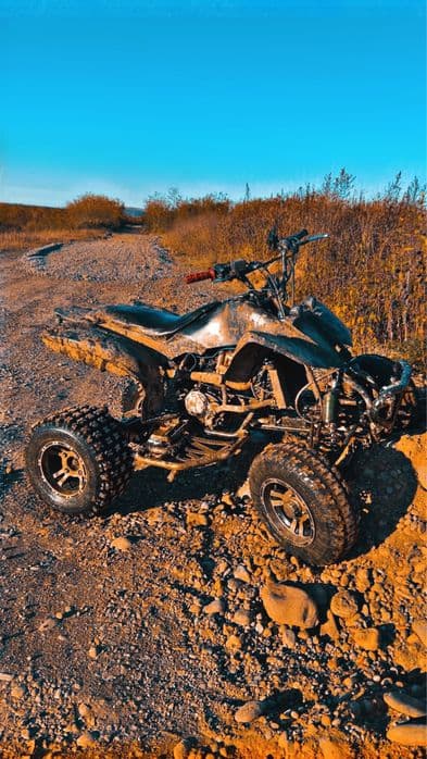 Vand bashan 250cc stare perfecta sau schimb