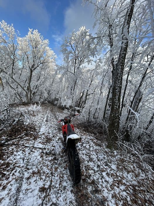 Gas gas  ec300 2010 inmatriculat