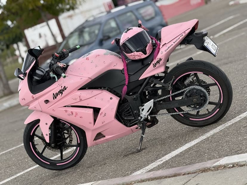 Kawasaki ninja 250R 2009 A2
